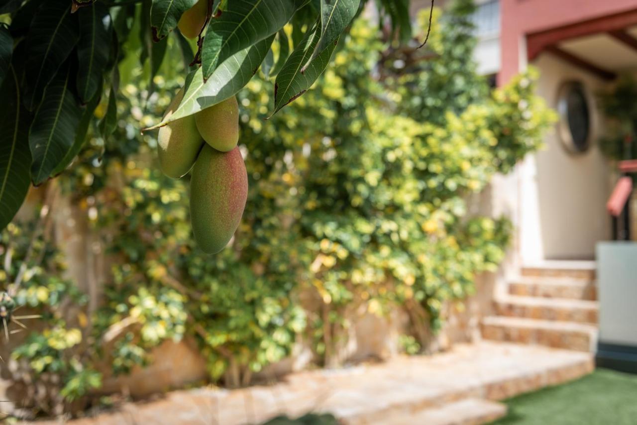 Comfortable 4-Bedroom Villa With Private Gardens Costa Adeje  Zewnętrze zdjęcie